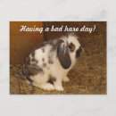 Search for bad day postcards Funny