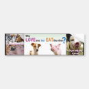 Search for factory bumper stickers Vegetarian