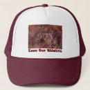 Search for cheetah cat hats Wildlife