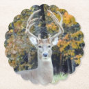 Search for buck deer barware Whitetail