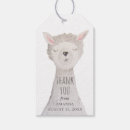 Search for lama Animal