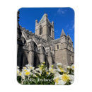Search for dublin magnets Cathedral