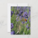Search for bug note cards Garden