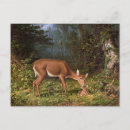 Search for maternal postcards Baby