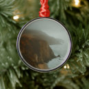 Search for big sur christmas tree decorations Beach