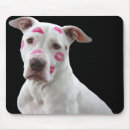 Search for pitbuls mousepads Pitbull