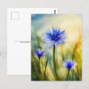 Search for cornflower postcards Nature
