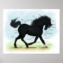 Search for horee Pony