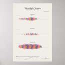Search for piano notes posters Music