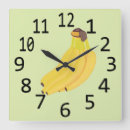 Search for large number clocks Yellow