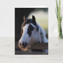 Search for vanner cards Horse