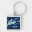 Search for whale art key rings Nature