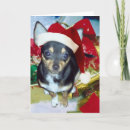 Search for chihuahua christmas cards Snow