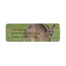 Search for kangaroo labels Marsupial