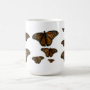 Search for flower fly mugs Wildlife