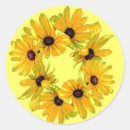 Search for black eyed susan flower stickers Rudbeckia