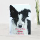 Search for border collie cards White