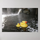 Search for ducky posters Yellow