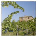 Search for wine grapes tiles Green