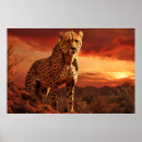 Search for cheetah art Wildlife