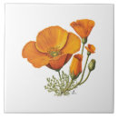 Search for poppy tiles Ceramic