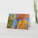 Search for green maple leaf cards Nature