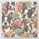 Search for boston coasters Dogs