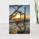 Search for islander cards Blank inside
