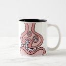 Search for heart anatomy mugs Biology