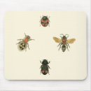Search for studio electronics Insects