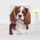 Search for spaniel dog cards Cavalier