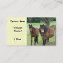 Search for horse vet business cards Horses