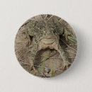 Search for toad badges Amphibians