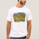 Search for albion clothing Mountain