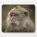 Search for funny birthday mousepads Father