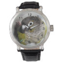 Search for conures accessories Bird