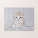 Search for orange cat puzzles Kitten