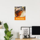 Search for aquatic posters Sealife