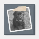 Search for frames magnets Create your own