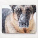Search for german shepherd mousepads Snow