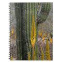 Search for habitat notebooks Agave