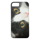 Search for cat lovers gifts Kitty