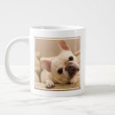 Search for animal head mugs Dog