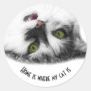 Search for cat breed stickers Pet