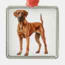 Search for rhodesian ridgeback christmas tree decorations Dog