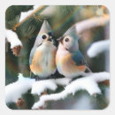 Search for tufted titmouse stickers Wildlife