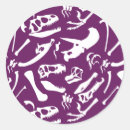 Search for dinosaur bones stickers Dinosaurs