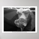 Search for perspective art Kitty
