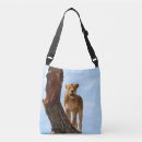 Search for lioness accessories Female