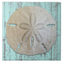 Search for sand dollar tiles Beach house